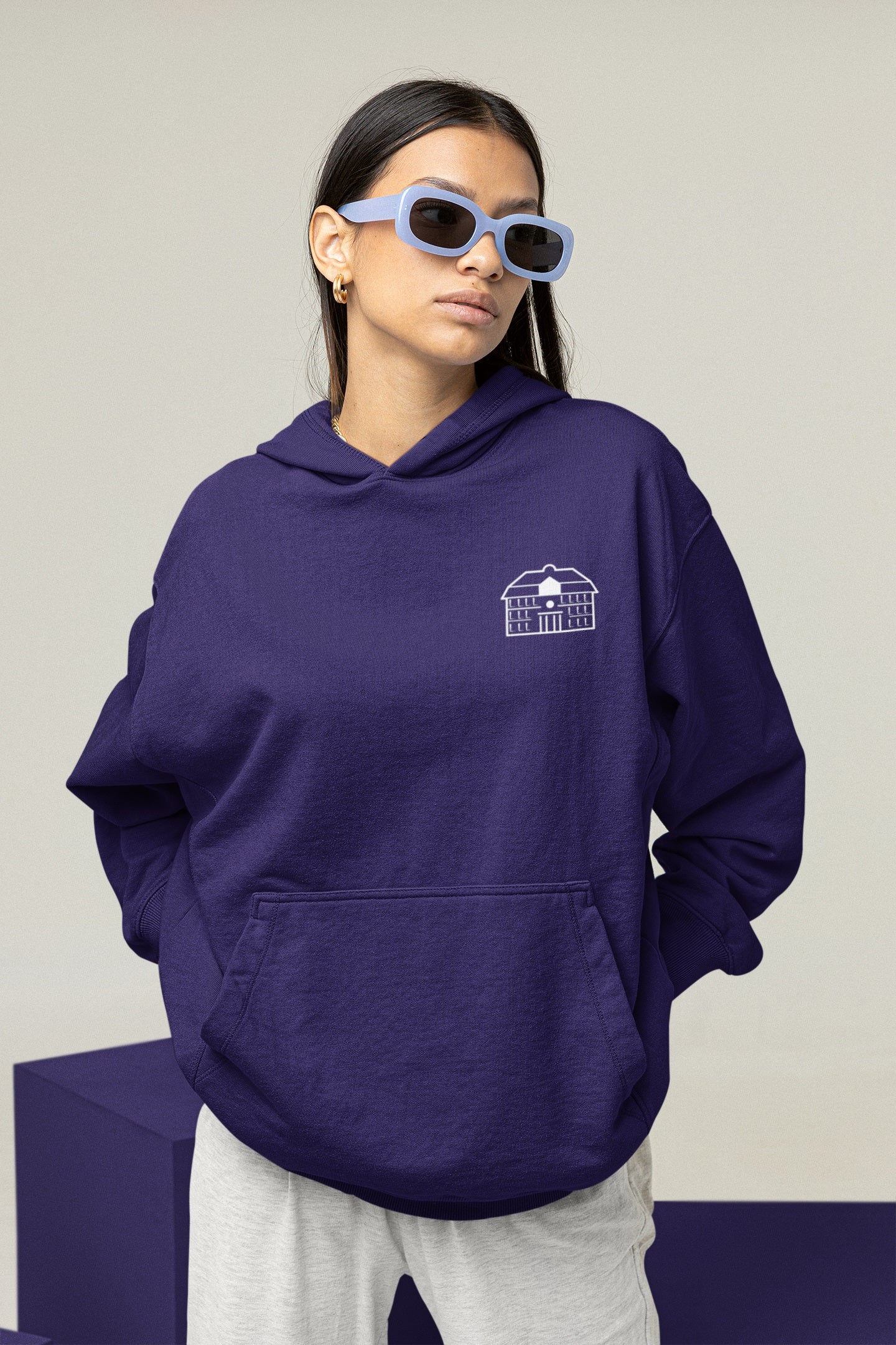 EHS Wiesbaden AK25 Organic Oversized Hoodie (Neutral)